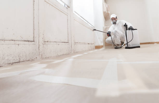 24/7 Emergency Black Mold Removal experts in Newton, NJ