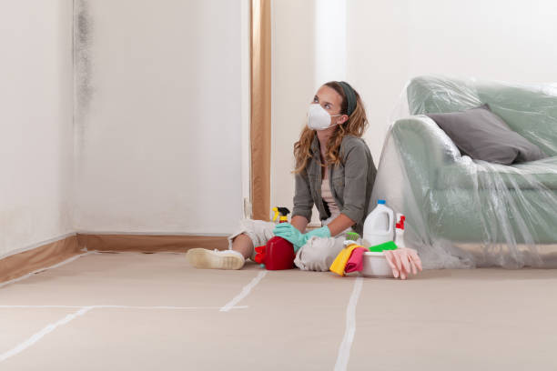 Trusted Black Mold Removal service in Newton, NJ - WQB Mold Removal